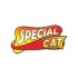 Special Cat