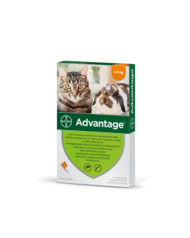 Advantage Cat – Пипета срещу бълхи за котки
