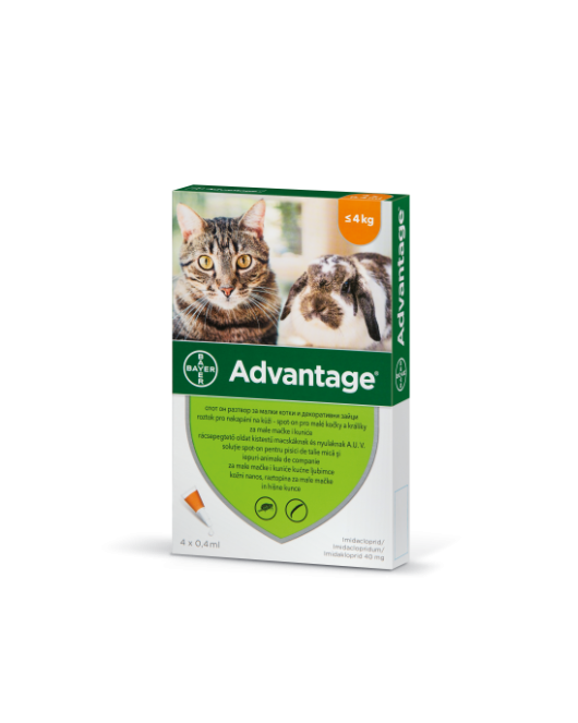 Advantage Cat – Пипета срещу бълхи за котки