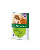 Advantage Cat – Пипета срещу бълхи за котки