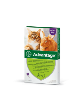 Advantage Cat – Пипета срещу бълхи за котки