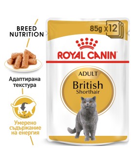 Royal Canin British Shorthair Pouch – Пауч за котки Британска късокосместа 