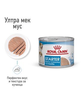 Royal Canin Starter Mousse – Стартов мус за кученца и майки (195 г)