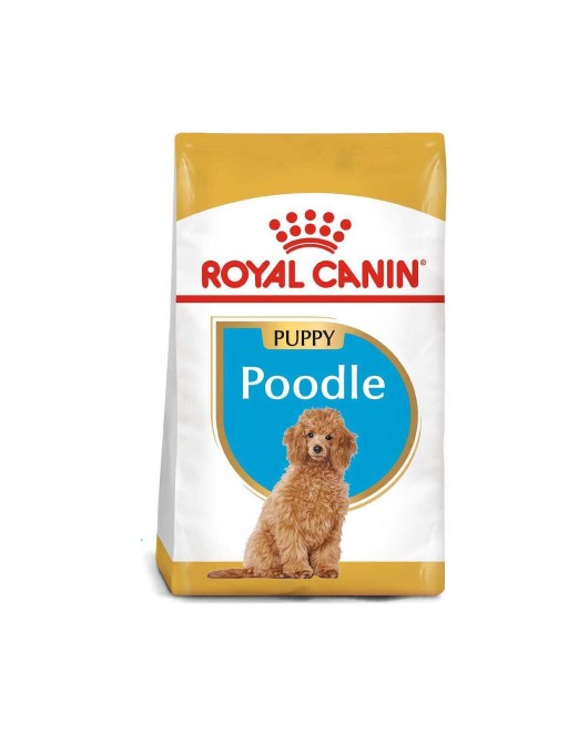 Royal Canin Poodle Puppy - Храна за кученца Пудел
