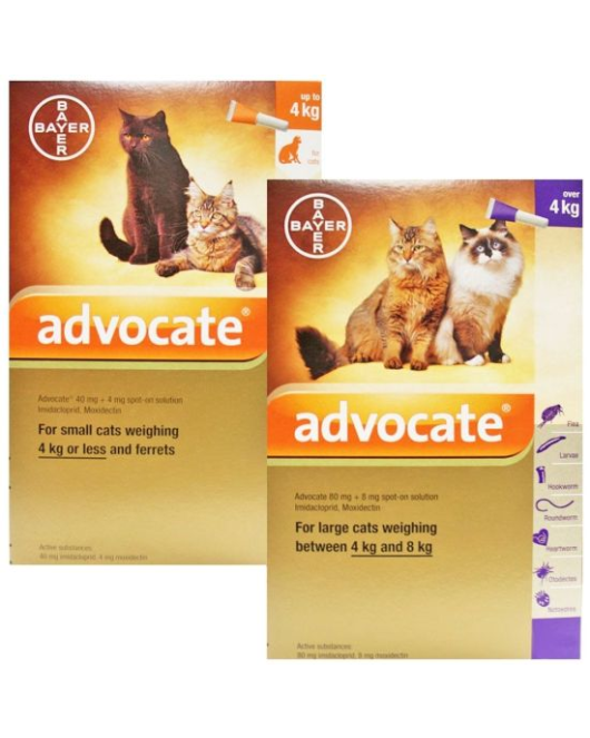 Bayer Advocate Spot On Cat - противопаразитни пипети за котки срещу вътрешни и външни паразити, цена за 1 пипета и за кутия