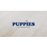 Puppies