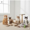 Котки